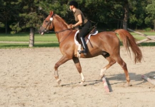  Equitación en Alta Saona 